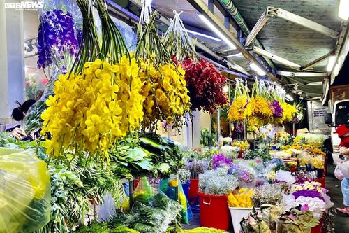 Chợ hoa lớn nhất TP.HCM 'tê liệt' trước ngày 8/3, tiểu thương không dám nhập hàng