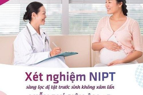 Xét nghiệm NIPT - Xóa tan nỗi lo dị tật và bệnh lý di truyền thai nhi từ tuần thứ 10