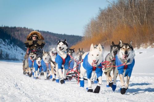 Khung cảnh lạnh giá ở hộp băng khổng lồ Alaska