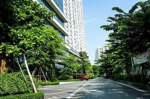 Tăng trưởng xanh để bảo vệ môi trường: Lợi ích dài lâu