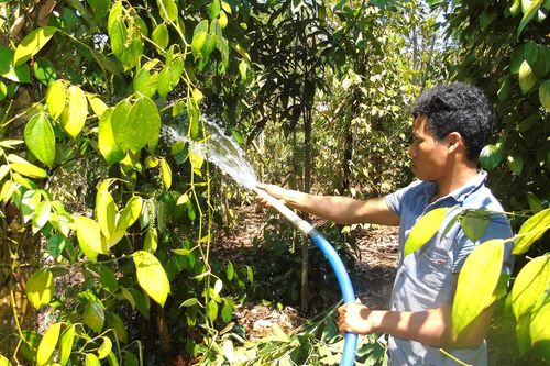 Đông Nam bộ đối mặt khô hạn