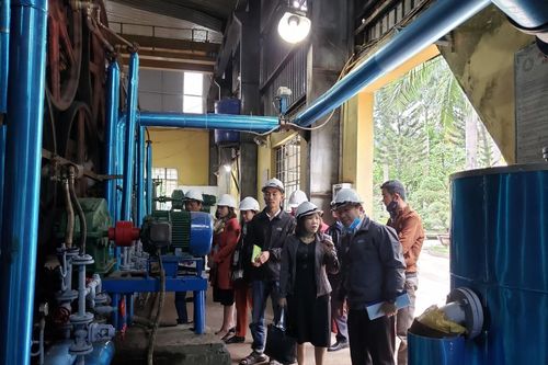 Đà Nẵng tìm phương án gỡ khó cho doanh nghiệp thời dịch Covid-19
