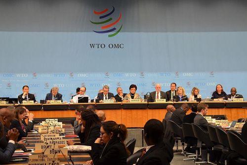 Đại hội đồng WTO họp chuẩn bị cho Hội nghị Bộ trưởng WTO lần thứ 12