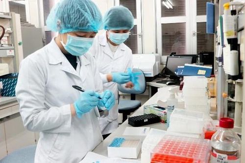 Các nhà khoa học nữ phân lập thành công SARS-CoV-2 được trao giải Kovalevskaia năm 2019