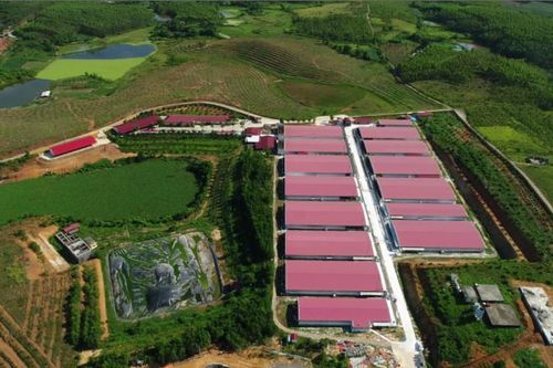 Phạt Công ty Cổ phần Tập đoàn Dabaco Việt Nam 300 triệu đồng