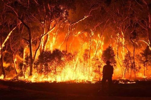Australia phát triển vệ tinh dự báo cháy rừng