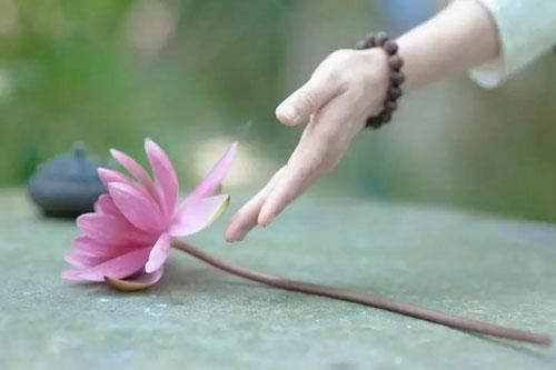 Con người luôn sống trong khổ sở, bi ai vì không ai chịu buông bỏ 8 điều này