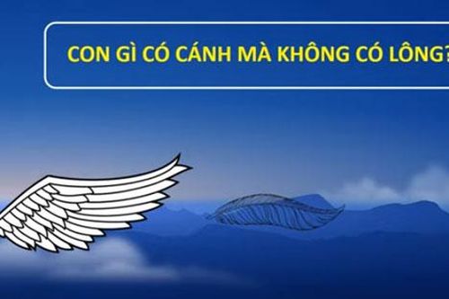 'Rối não' với câu đố mẹo đơn giản