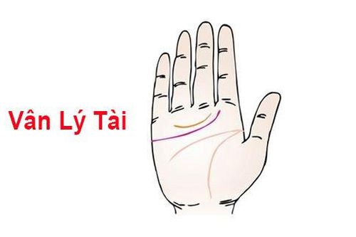 Đây là 6 bàn tay phú quý, ai sở hữu được thì cả đời vinh hoa phú quý, số 4 cực hiếm gặp