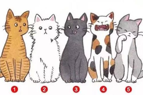 Trắc nghiệm: Bạn là người thế nào trong mắt người khác?