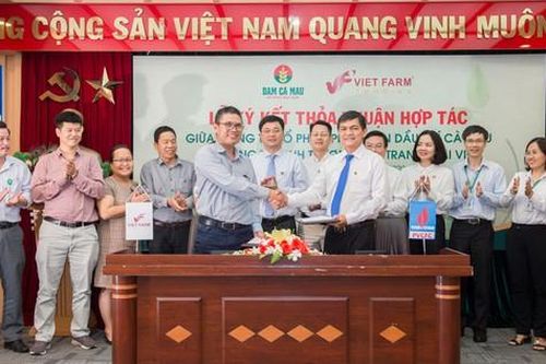 Đạm Cà Mau thử nghiệm sản xuất phân bón hữu cơ