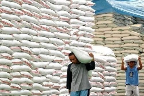 Tiềm năng xuất khẩu gạo sang thị trường Senegal