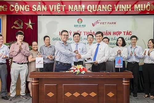 Hướng đến đa dạng hàng hóa với sản phẩm phân bón hữu cơ