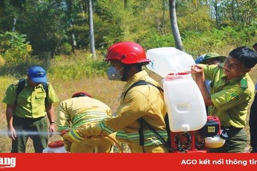 An Giang tập trung bảo vệ rừng