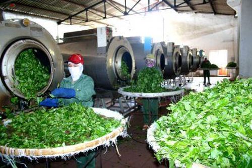 Xác định năng suất nhân tố tổng hợp của các doanh nghiệp thuộc các tỉnh miền núi phía Bắc