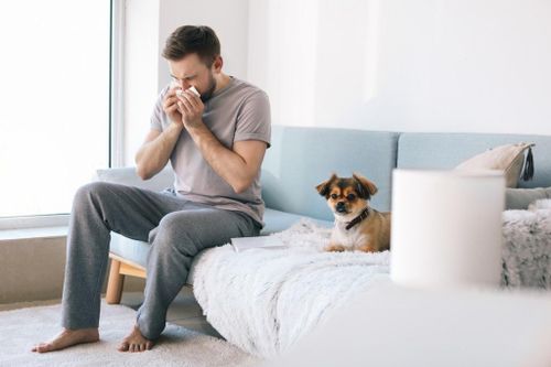 Biểu hiện của cảm lạnh và dị ứng khác nhau thế nào?