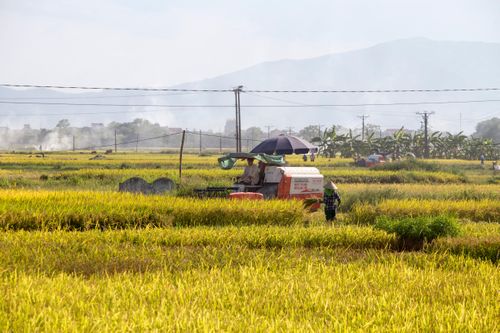 Hướng tới sản xuất lớn