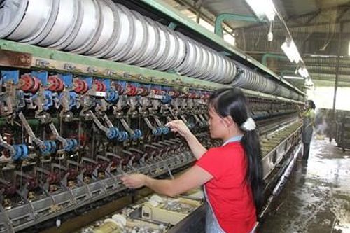 Ngành nuôi tằm Việt Nam bị yếu thế do lệ thuộc nguồn giống từ nước ngoài