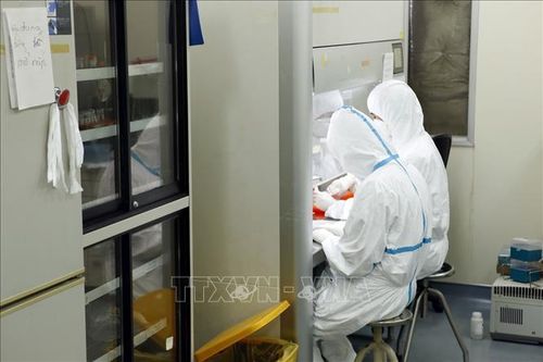 Hành trình đến Giải thưởng Kovalevskaia của các nhà khoa học nữ phân lập thành công virus SARS-CoV-2