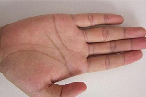 6 tướng tay của phụ nữ báo hiệu thành công đến muộn nhưng vô cùng rực rỡ, không cần nôn nóng hay chán chường
