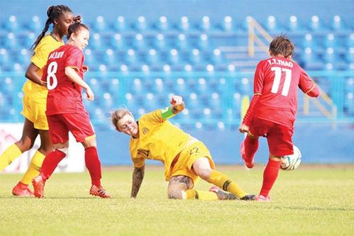 'Bê tông' kiểu nào ở xứ Chuột Túi?