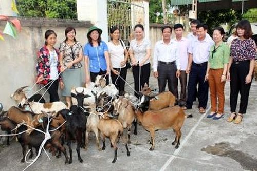 Phụ nữ Phú Thọ tham gia xây dựng Đảng trong sạch, vững mạnh