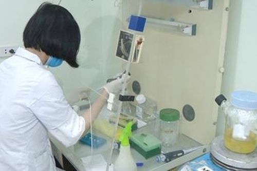 Chế tạo thành công bộ kit phát hiện virus Corona chủng mới