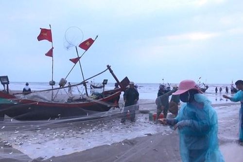 Chính phủ ban hành Kế hoạch tổng thể phát triển bền vững kinh tế biển