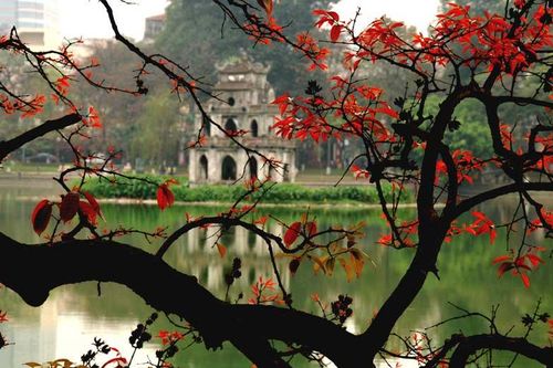 Tháng ba mùa lá đỏ Bằng Lăng