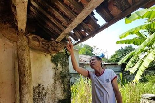 Đình làng Trường Lưu - Di tích lịch sử đang xuống cấp