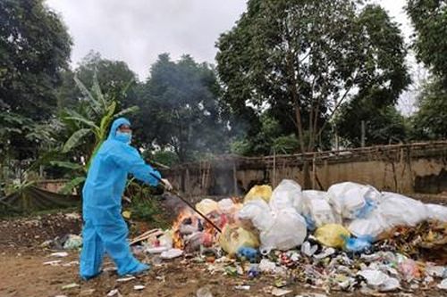 Hoa hồng ngăn 'giặc Covid-19'