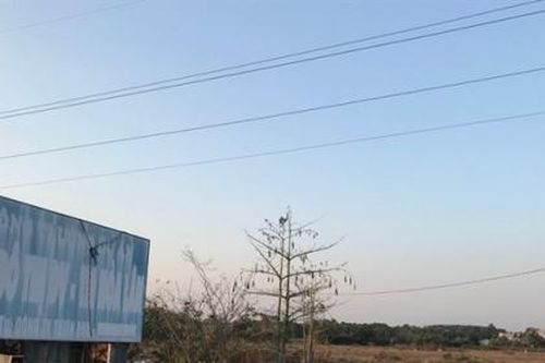 TAND quận 7 bất ngờ tạm dừng phiên xét xử