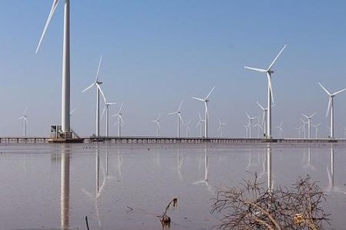 Nhà máy điện gió Bạc Liêu phát điện hòa lưới quốc gia đạt mốc 1 tỷ KWh