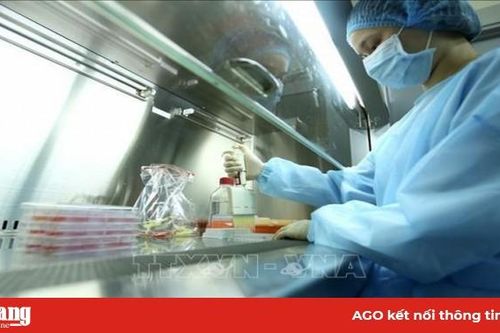 Nhóm nhà khoa học nữ phân lập thành công SARS-CoV-2 được xét trao Giải thưởng Kovalevskaia