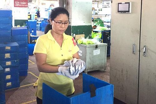 Học Bác từ những điều nhỏ nhất