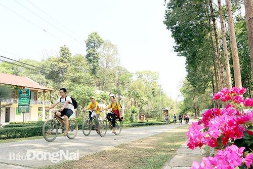 'Về rừng' nghỉ dưỡng