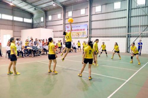 Sôi nổi Giải bóng chuyền hơi nữ Khối Tham mưu giúp việc Tỉnh ủy mở rộng