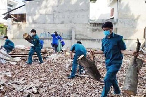 Hiệu quả Ngày Chủ nhật xanh