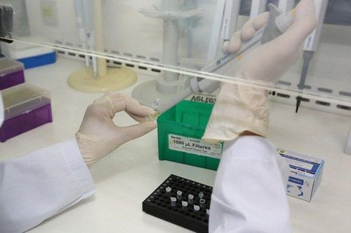 Dịch Covid-19: Bộ Y tế thông tin về sức khỏe của Bộ trưởng Nguyễn Chí Dũng