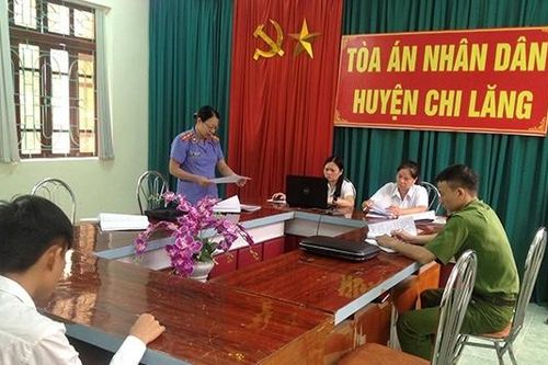 Đảm bảo áp dụng xử lý hành chính của Tòa án kịp thời, đúng pháp luật