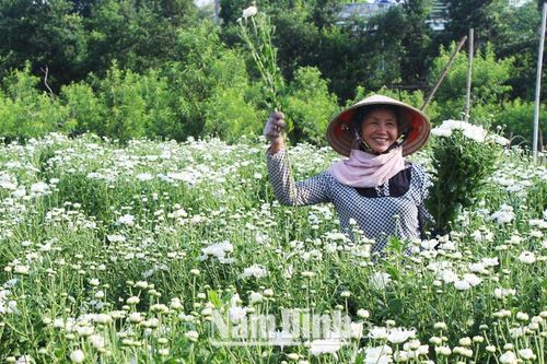 Hỗ trợ hội viên phụ nữ phát triển kinh tế, giảm nghèo bền vững