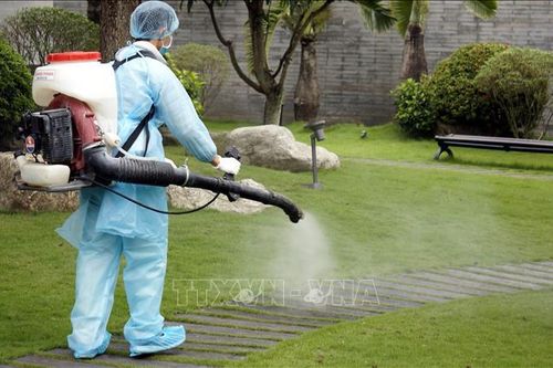 Hải Phòng khoanh vùng cách ly, khử trùng khu vực liên quan đến hành khách đi chuyến bay VN0054
