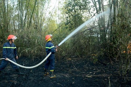 Cháy đồi tre tại phường Him Lam do đốt lá cây