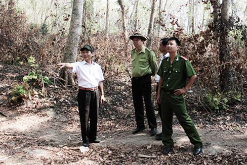 Ninh Hòa hơn 3.900ha rừng có nguy cơ cháy cao