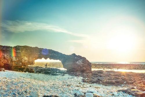 Tạm dừng đón khách du lịch ra đảo Lý Sơn