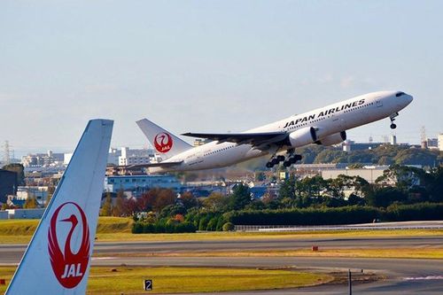 Tiếp viên hàng không Japan Airlines nhiễm virus corona