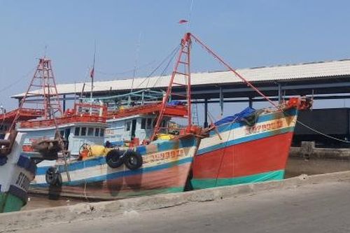 Cà Mau: Vi phạm lĩnh vực thủy sản, chủ tàu cá bị phạt hơn 1 tỷ đồng