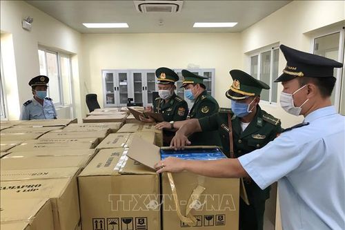 Xuất lậu hơn 160.000 chiếc khẩu trang y tế sang Campuchia