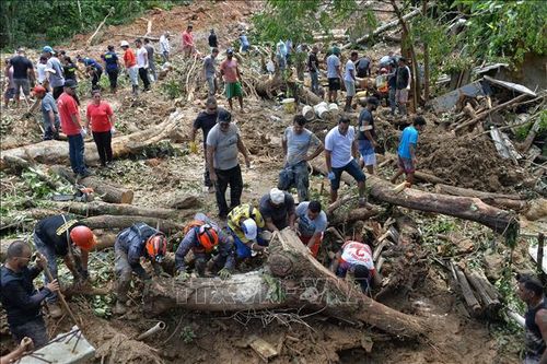 Số người thiệt mạng do mưa lũ tại Brazil lên tới 40 người
