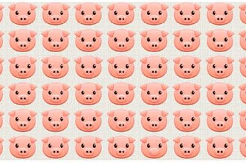 'Mờ mắt' vẫn không tìm ra đáp án đúng